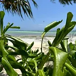 Beachfront White Pearl Suite Zanzibarhouses