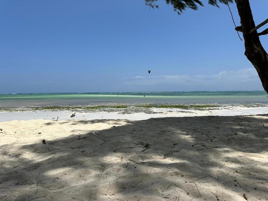 Beachfront White Pearl Zanzibarhouses Appartement *